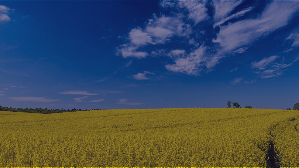 API zur Unionsdatenbank (UDB) für Biokraftstoffe