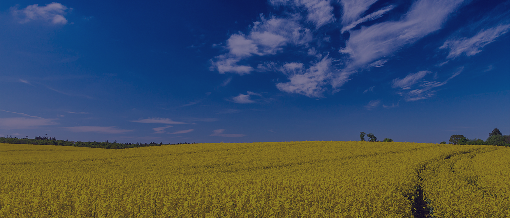 API zur Unionsdatenbank (UDB) für Biokraftstoffe