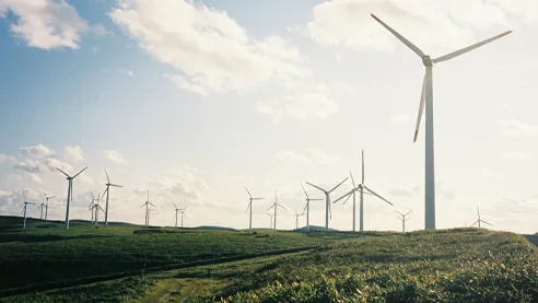 Digitale Serviceplattform für Windenergieparks